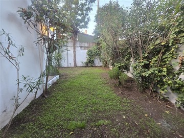 Imagen 23