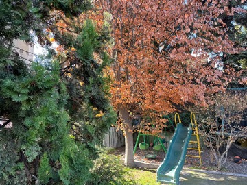 Imagen 8