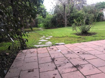 Imagen 20