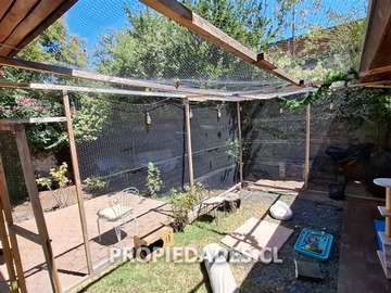 Imagen 14