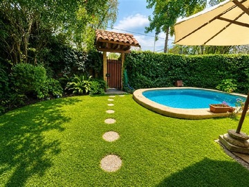 Imagen 20