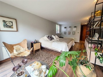 Imagen 11
