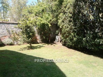 Imagen 19