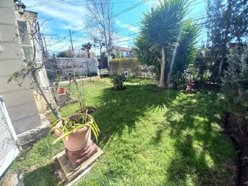 Imagen 25