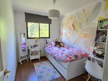 Imagen 13