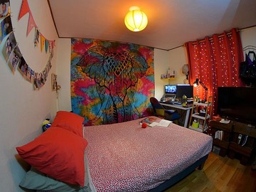 Imagen 8