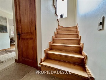 Imagen 21