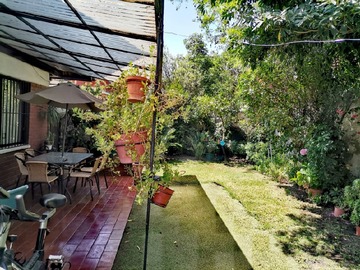 Imagen 11