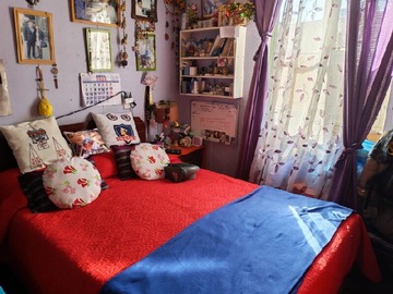 Imagen 10