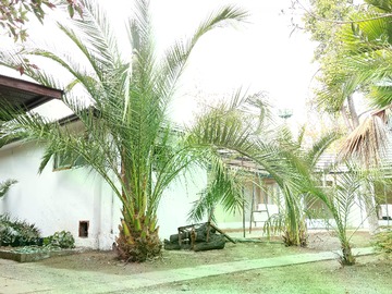 Imagen 16