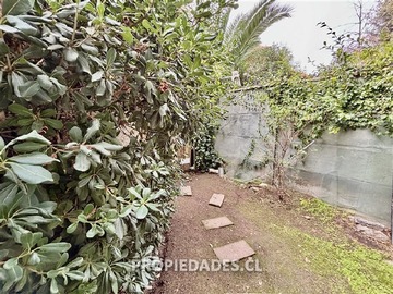 Imagen 13