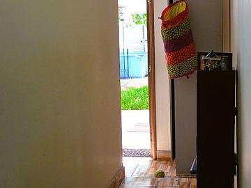 Imagen 12