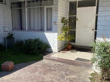 Imagen 19