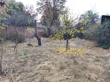 Imagen 14