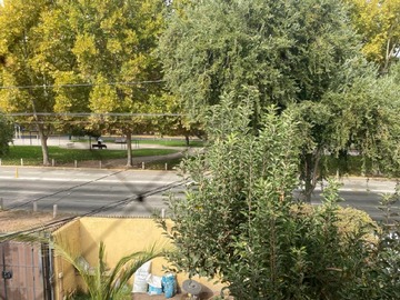 Imagen 6