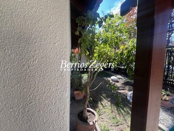 Imagen 20