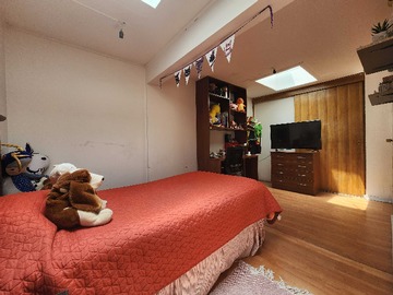 Imagen 12