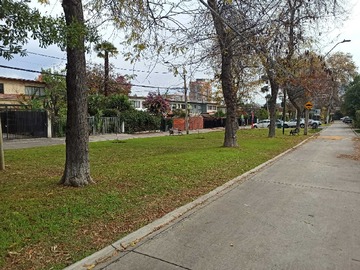 Imagen 11