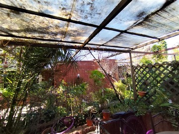 Imagen 6