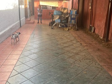 Imagen 10