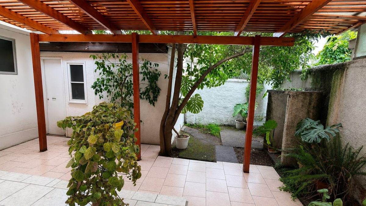 patio de atras
