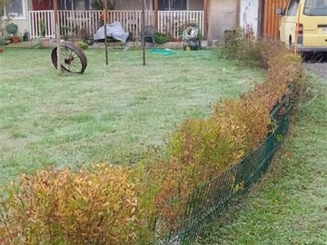 Imagen 7