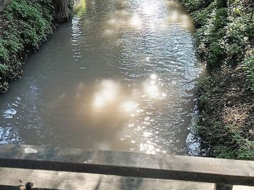 Imagen 21