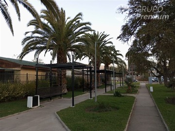Imagen 12