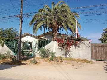 Imagen 20