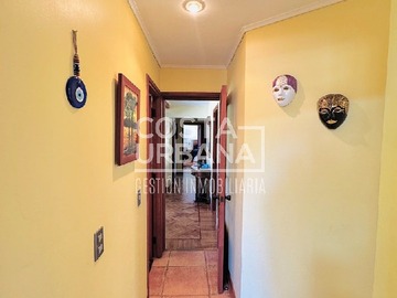 Imagen 15