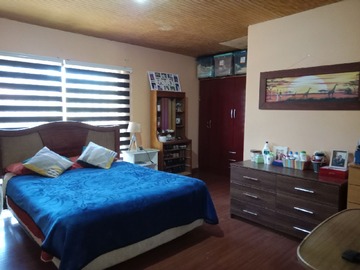 Imagen 13