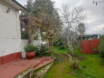 Imagen 9