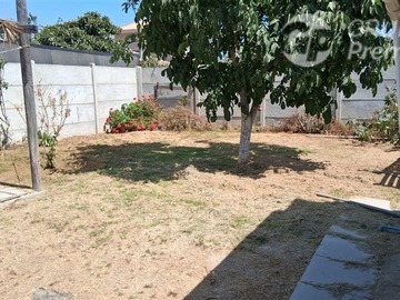Imagen 15