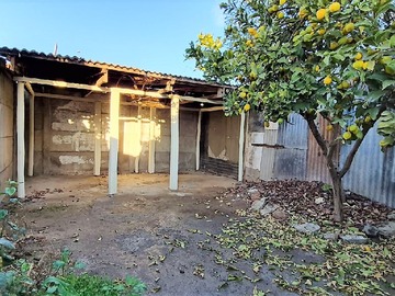 Imagen 29