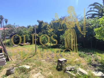 Imagen 9