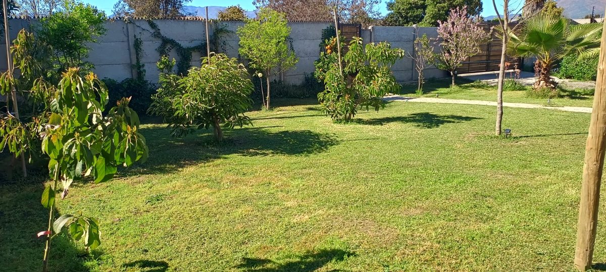 jardin