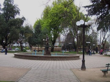 Imagen 11