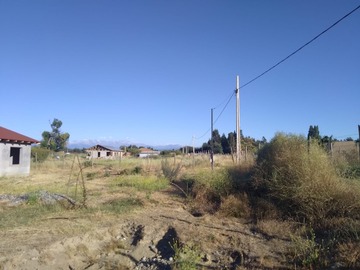 Imagen 6