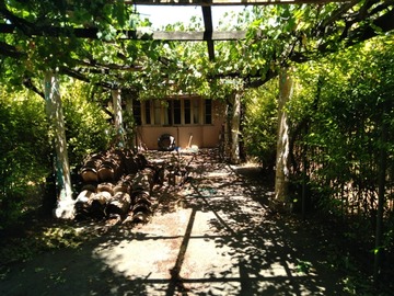 Imagen 11