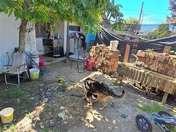 Imagen 7