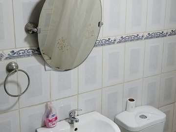 Imagen 5