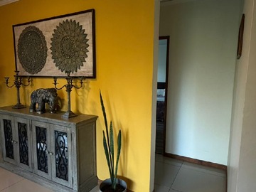 Imagen 11