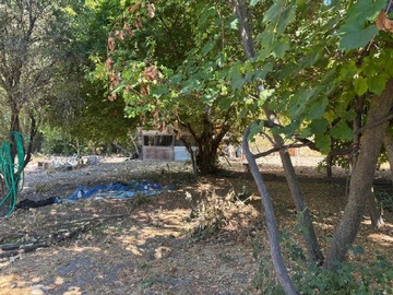 Imagen 12