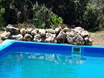 Imagen 12