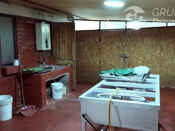 Imagen 12