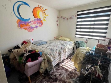 Imagen 11