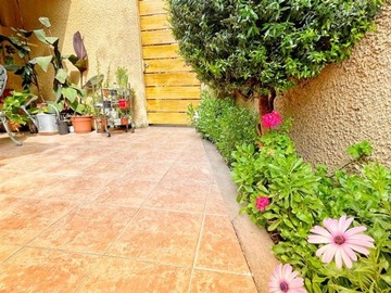 Imagen 15