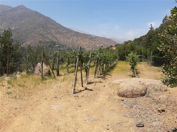 Imagen 9