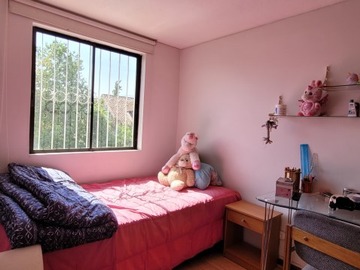 Imagen 20