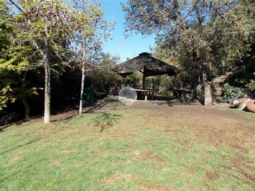 Imagen 23